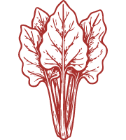 bandeau-rhubarbe-09